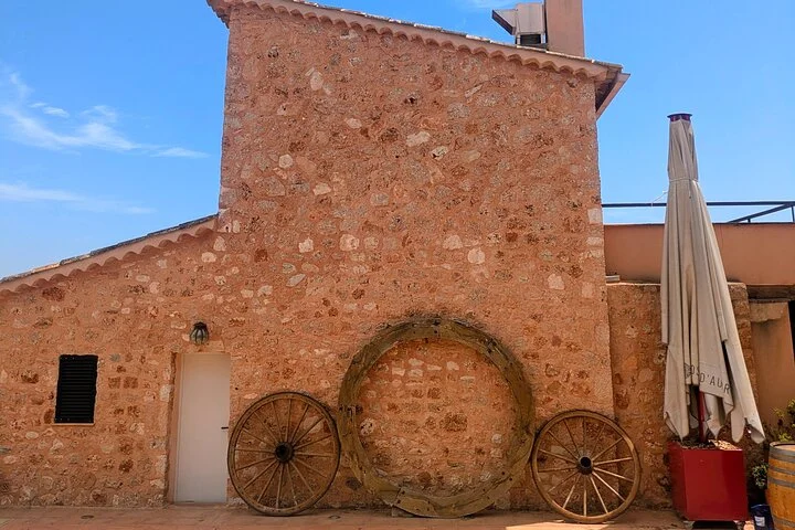 Private Mallorca Wine Tour and Tasting in Santa Maria - Image 2