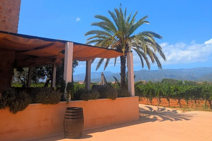 Private Mallorca Wine Tour and Tasting in Santa Maria - Image 3