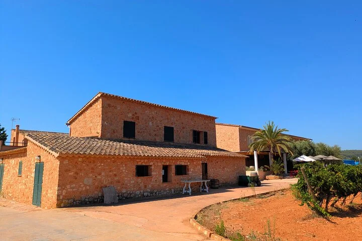 Private Mallorca Wine Tour and Tasting in Santa Maria - Image 5