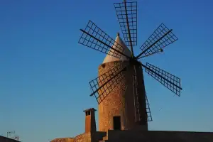 Geführte Inseltour zu Mallorcas Windmühlen und charmanten Dörfern - Bild 1