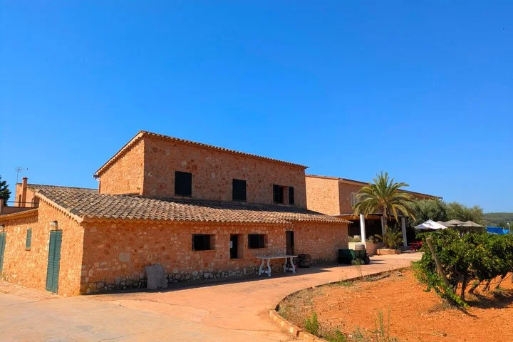 Private Wein- und Kulinarik-Tour ab Palma de Mallorca - Bild 4