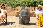 Exklusive Olivenöl und Wein Tour auf Mallorca in der Kleingruppe - Bild 1