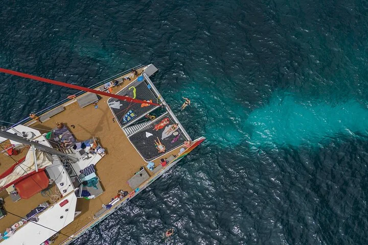 5-stündige Katamaranfahrt ab Port d'Alcudia auf Mallorca - Bild 3