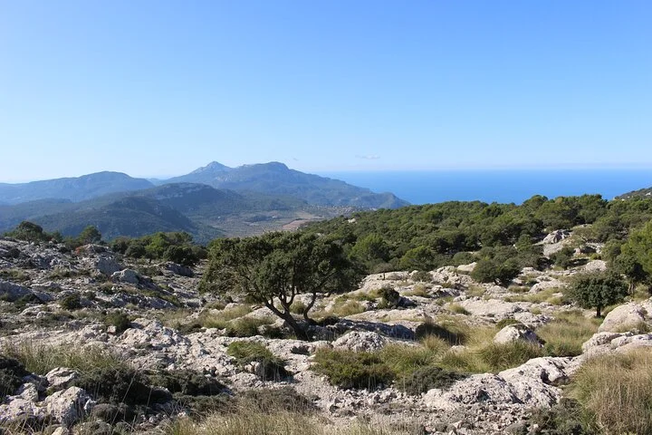 Wanderung auf dem Reitweg des Erzherzogs Ludwig Salvador auf Mallorca - Bild 5