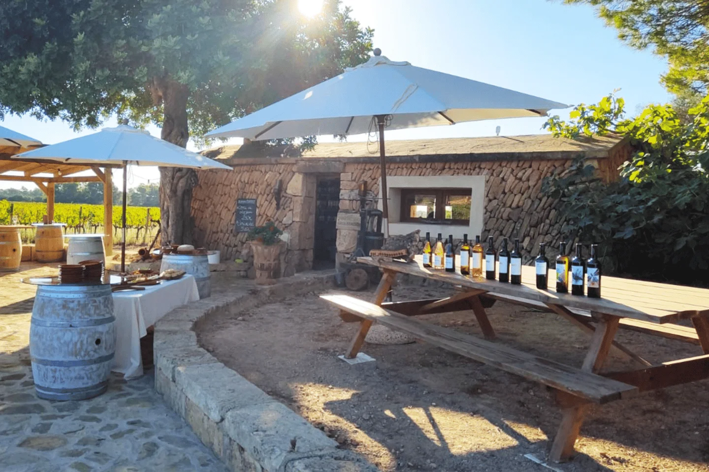 Weinmomente für zwei in den Bodegas Bordoy in Llucmajor - Bild 2