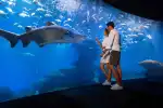 Eintrittskarte für das Palma Aquarium auf Mallorca - Bild 1