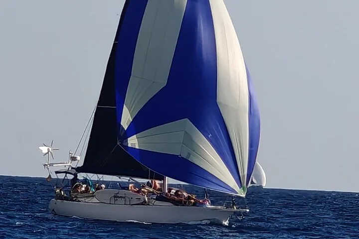Privates Segelabenteuer auf Mallorca mit Schnorcheln - Bild 5