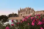 Instafamous Tour durch Palma und die Nordküste Mallorcas - Bild 1