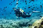 Tauchen für Anfänger und Schnorcheln in Alcúdia - Bild 1