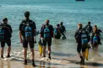 Guided Shore Scuba Diving Experience in Mallorca - Image 1