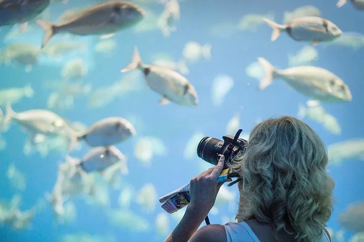 Palma Aquarium Ausflug mit Bustransfer ab Port Alcudia - Bild 5