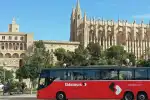 Sammeltransfer vom Flughafen Palma de Mallorca zum Hotel - Bild 1
