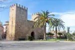 Geführte Tour zum Cap de Formentor, Markt und Alcúdia - Bild 1