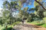 Geführte E-Bike-Tour und Wanderung durch Palma de Mallorca - Bild 1