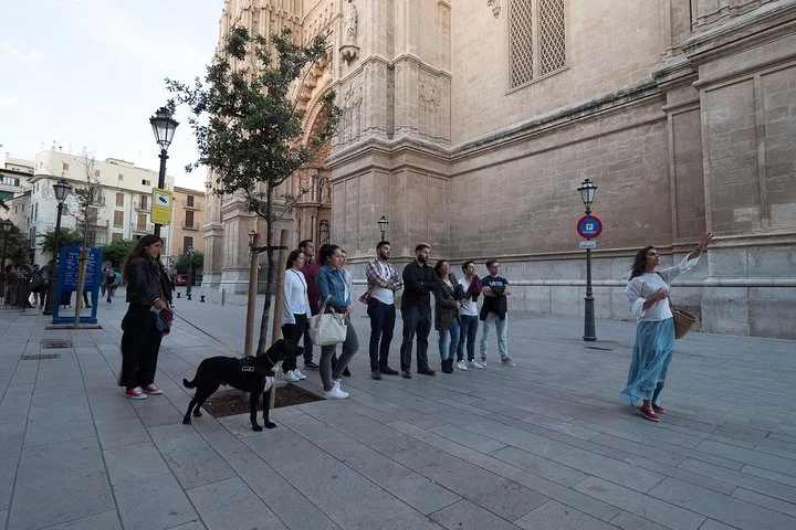 Privater Rundgang durch die Altstadt von Palma de Mallorca - Bild 4