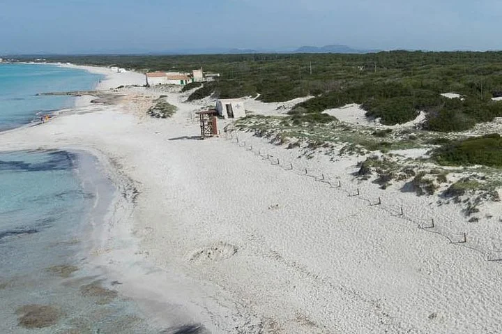 Geführter Tagesausflug zum Es Trenc Strand auf Mallorca - Bild 4