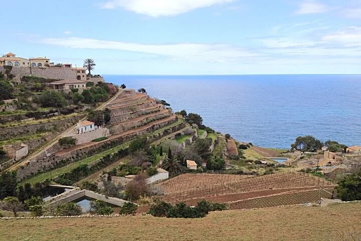 Private Fahrt durch die malerischen Dörfer der Tramuntana auf Mallorca - Bild 4