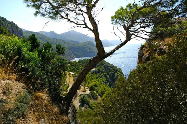 Private Fahrt durch die malerischen Dörfer der Tramuntana auf Mallorca - Bild 5