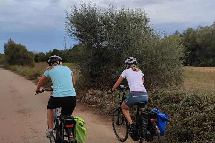 Geführte E-Bike Tour ab Inca zum traditionellen Markt in Sineu - Bild 4