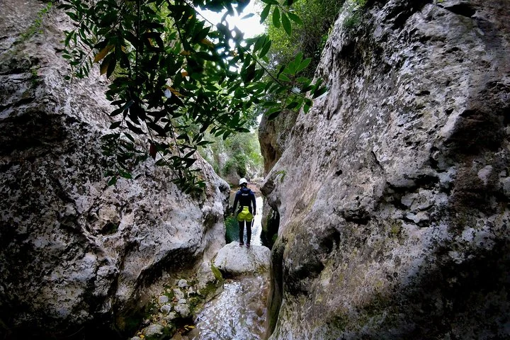 Guided Canyoning Tour in Mallorca for All Levels - Image 5