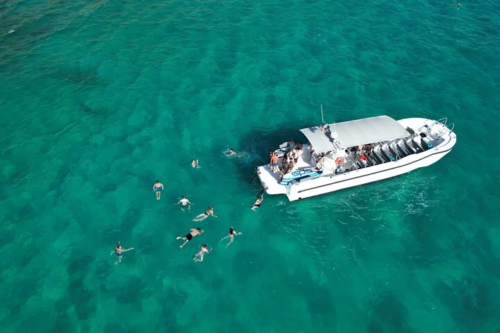 Schnellboot-Tour und Schnorcheln im Meeresschutzgebiet von Palma - Bild 2