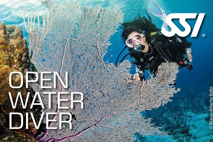 SSI Open Water Diver Certification Course in Mallorca - Image 2