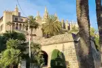 Stadtführung durch Palma de Mallorca: Geschichte und Architektur - Bild 1