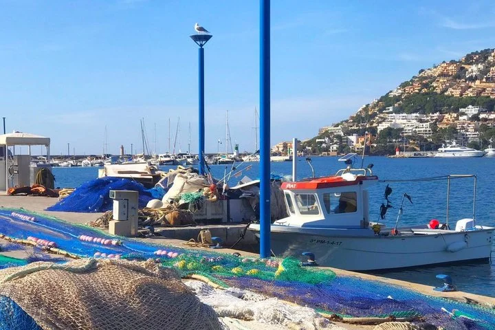 Bootstour zur Insel Dragonera ab Santa Ponsa - Bild 5
