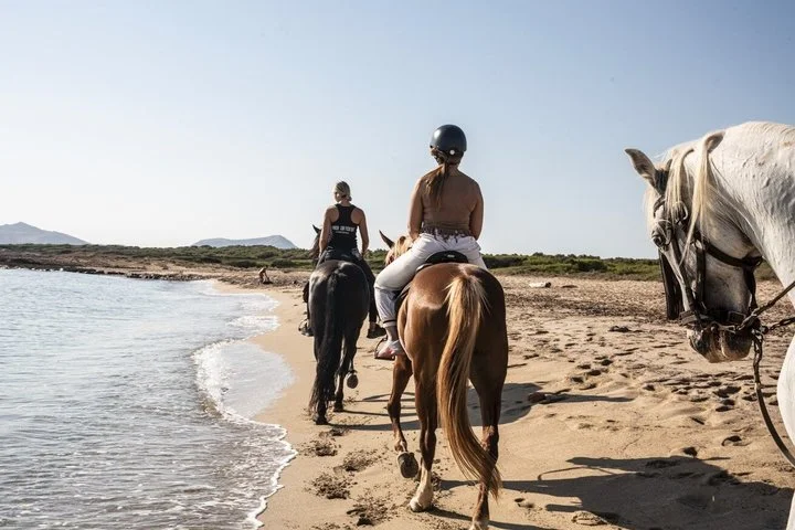 Reiten auf Mallorca: 90-minütiger Strand- und Waldritt - Bild 2