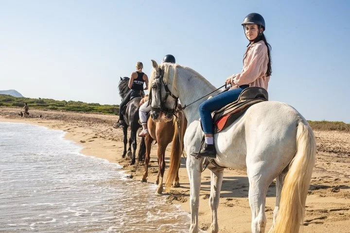 Reiten auf Mallorca: 90-minütiger Strand- und Waldritt - Bild 3