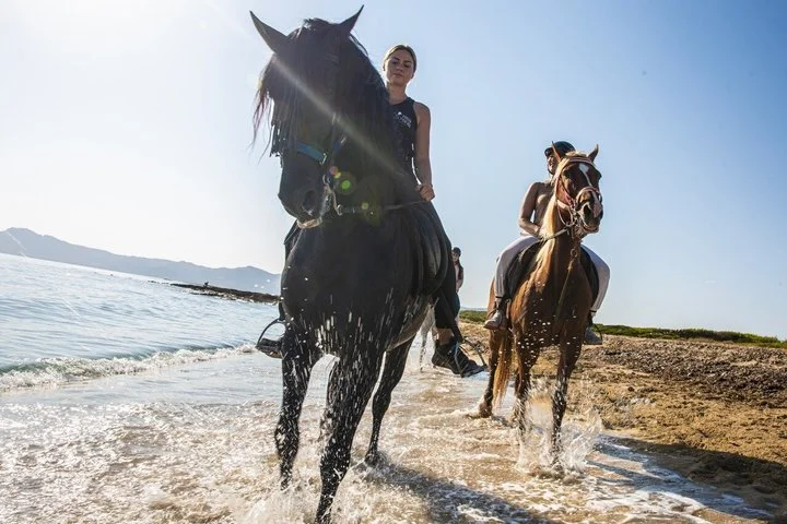 Reiten auf Mallorca: 90-minütiger Strand- und Waldritt - Bild 4