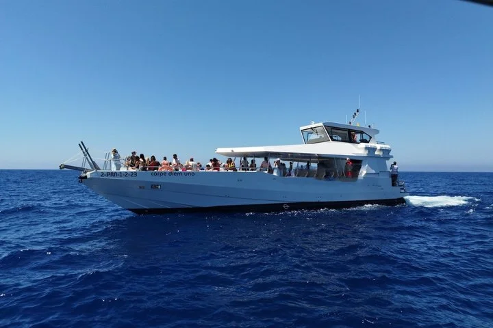 Bootsfahrt entlang der Südwestküste nach Port d'Andratx - Bild 2