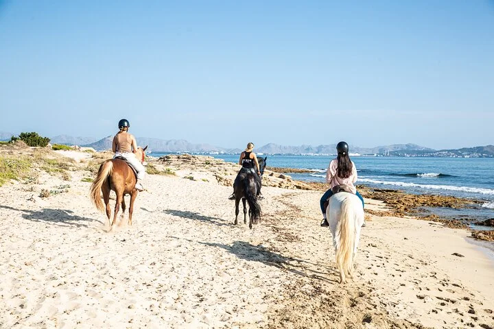 Geführter Strandausritt an der Bucht von Alcudia auf Mallorca - Bild 2