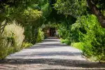 Botanischer Garten und Naturkundemuseum in Sóller - Bild 1
