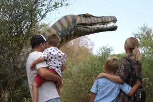 Halbtagestour zum Dinosaurierland und den Hams-Höhlen auf Mallorca - Bild 1