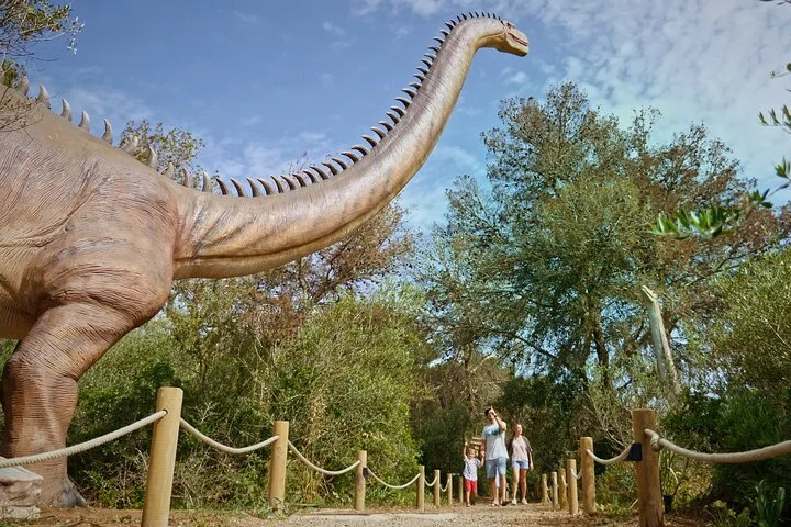 Halbtagestour zum Dinosaurierland und den Hams-Höhlen auf Mallorca - Bild 2