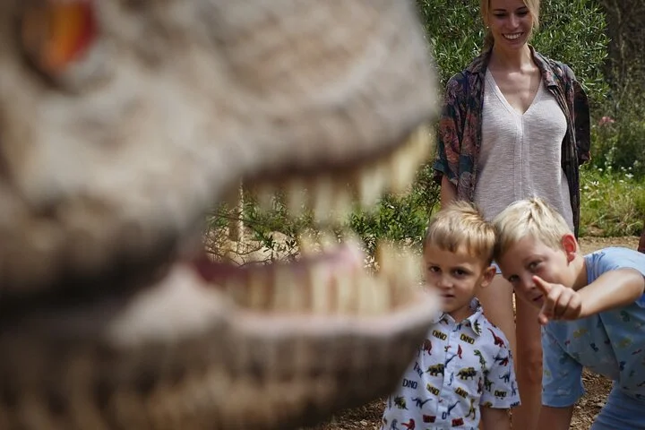 Halbtagestour zum Dinosaurierland und den Hams-Höhlen auf Mallorca - Bild 5