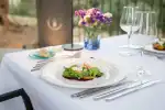 Gastronomische Olivenöl-Nacht auf einem Familienbesitz in Mallorca - Bild 1