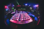 Gringos Family Rave: Das interaktive Bingo-Event in Magaluf - Bild 1