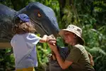 Halbtagestour ab Alcúdia: Dinosaurierland und Coves dels Hams - Bild 1