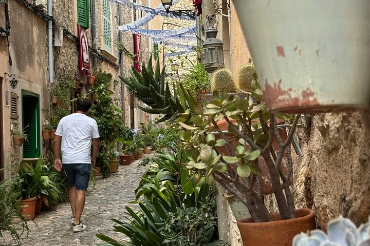 Einfache Wanderung zu den schönsten Aussichtspunkten in Valldemossa - Bild 3