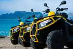 Geführte Quad-Tour ab Port d'Alcúdia zum Naturschutzgebiet La Victòria - Bild 1