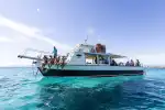 Bootstour in der Bucht von Palma ab El Arenal mit Schnorcheln - Bild 1
