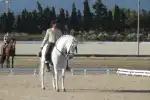 Klassischer Reitunterricht für Fortgeschrittene in Algaida - Bild 1