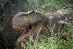 Ausflug ins Dinosaurierland ab Palma de Mallorca - Bild 1
