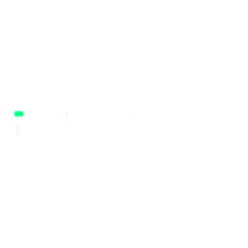Parkopedia Logo